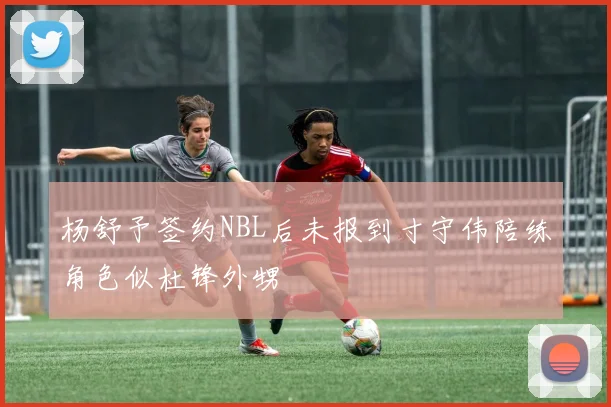 杨舒予签约NBL后未报到寸守伟陪练角色似杜锋外甥